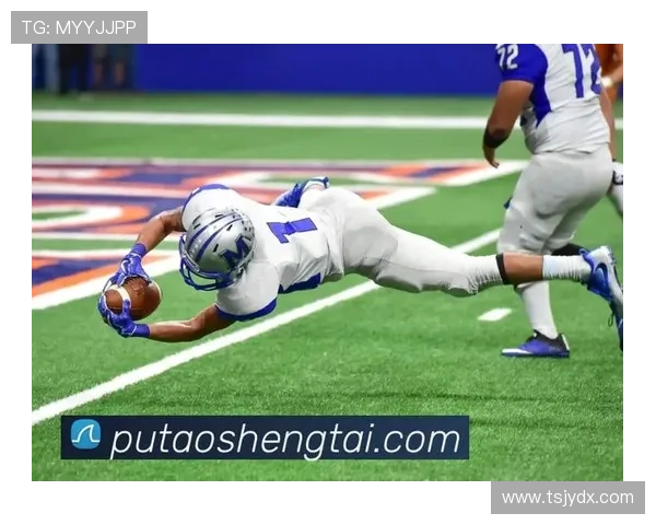 全球最有的体育联赛（全球最盛大的体育赛事）sports