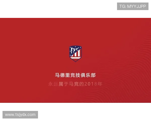 各类体育联赛停赛规则表（体育暂停）sports